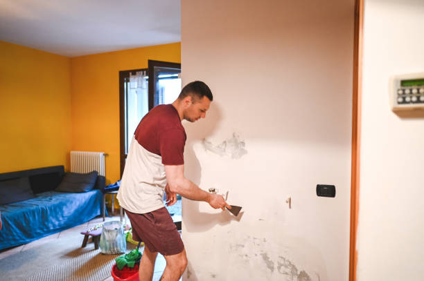 Best Local Mold Removal Service  in Cottonwood, MN